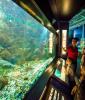 Exploramer – Discovering the sea