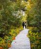 Parc nature de Pointe-aux-Outardes
